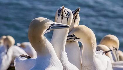 无锡伴游，定制QQ：3494206190微信：act1322